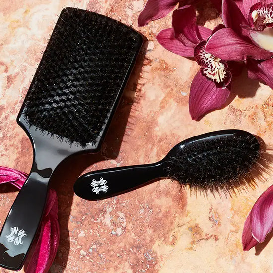 Showpony | Paddle Brush