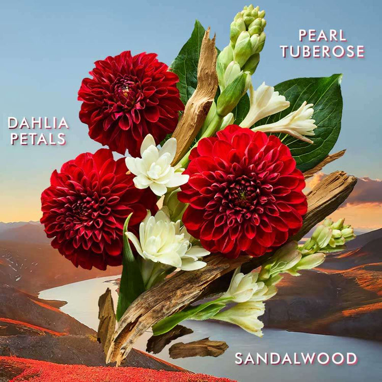 Morrocanoil Dahlia Rouge Range of Body care - hand lotion, shower gel and hand wash/cream. Available at The DO Salon Australia