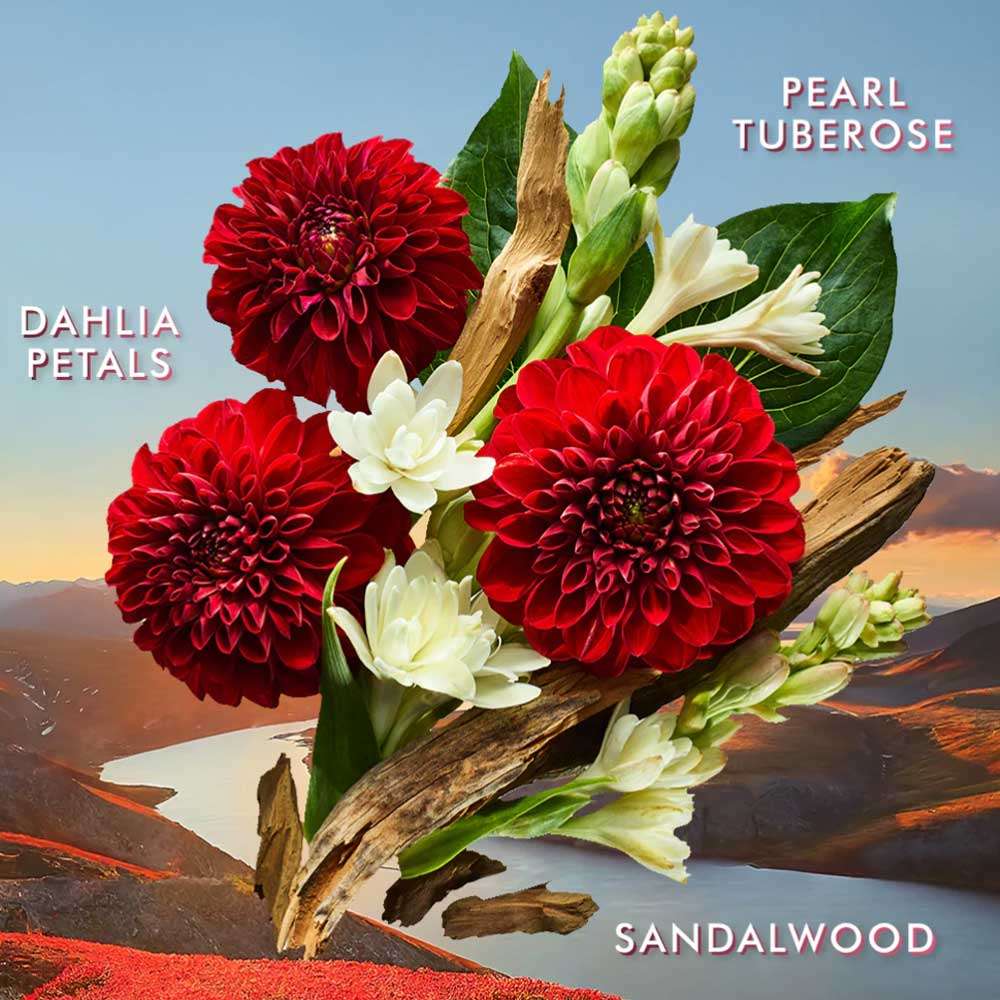 Morrocanoil Dahlia Rouge Range of Body care - hand lotion, shower gel and hand wash/cream. Available at The DO Salon Australia